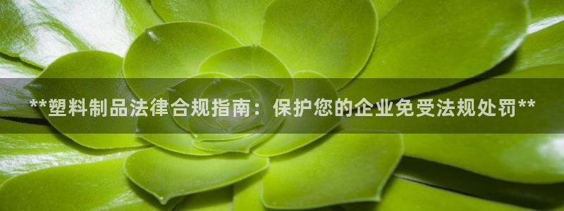 太阳集团3143：**塑料制品法律合规指南：保护您的企业免受