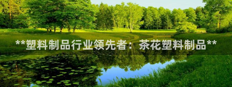 太阳集团是什么公司旗下的：**塑料制品行业领先者：茶花塑料制