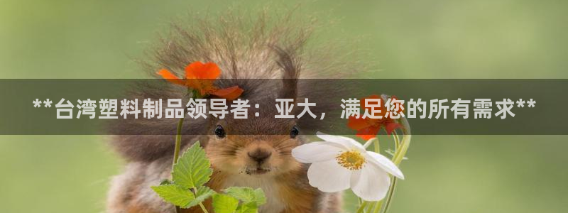 太阳app怎么下载：**台湾塑料制品领导者：亚大，满足您的所