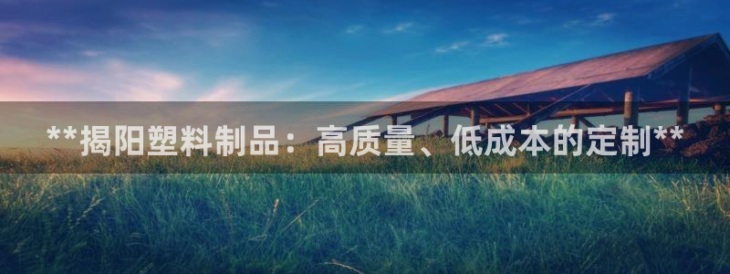 8827太阳集团：**揭阳塑料制品：高质量、低成本的定制**