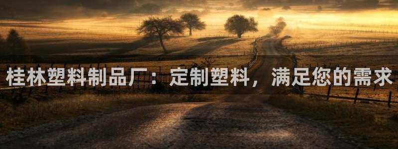 太阳集团的法人代表：桂林塑料制品厂：定制塑料，满足您的需求
