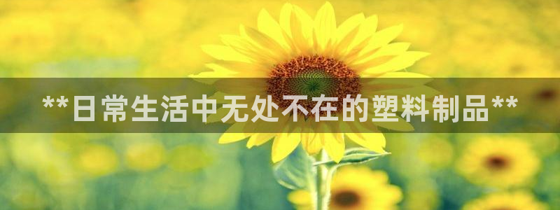 太阳集团8027：**日常生活中无处不在的塑料制品**