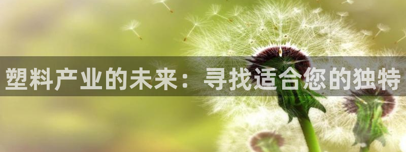 太阳app官网：塑料产业的未来：寻找适合您的独特