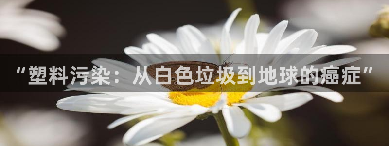 太阳集团城官方app下载苹果：“塑料污染：从白色垃圾到地球的
