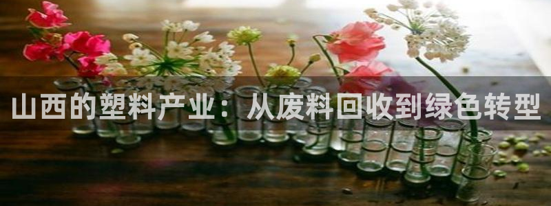 澳门太阳集团老板洗米华：山西的塑料产业：从废料回收到绿色转型