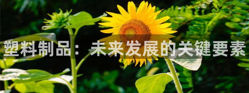 太阳游戏城app：塑料制品：未来发展的关键要素
