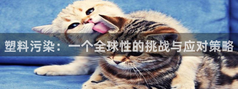 太阳成集团tyc33455cc官网：塑料污染：一个全球性的挑