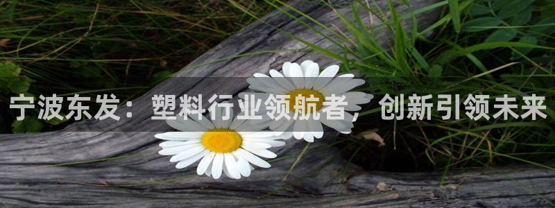 太阳集团董事长是谁：宁波东发：塑料行业领航者，创新引领未来
