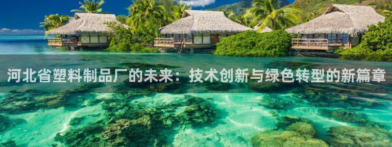 44118太阳成城集团：河北省塑料制品厂的未来：技术创新与绿
