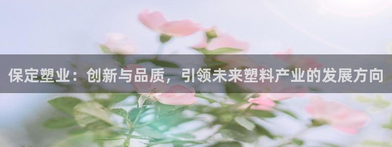 太阳集团股份有限公司是国企吗：保定塑业：创新与品质，引领未来