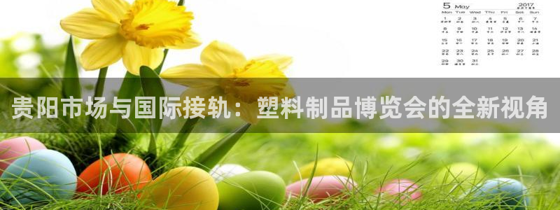太阳诚集团：贵阳市场与国际接轨：塑料制品博览会的全新视角