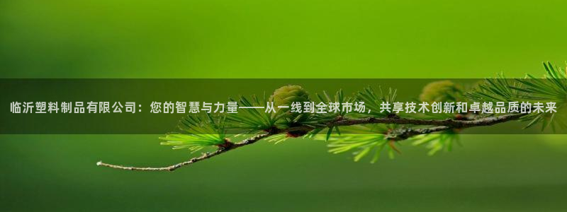 太阳集团官网导航首页：临沂塑料制品有限公司：您的智慧与力量—
