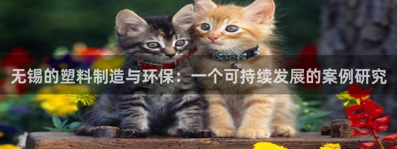 太阳集团游戏2138网站：无锡的塑料制造与环保：一个可持续发