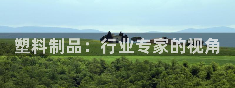 太阳董事长：塑料制品：行业专家的视角