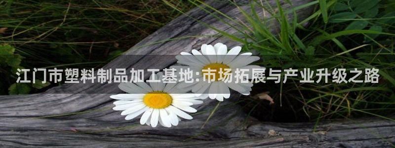 太阳集团下载链接：江门市塑料制品加工基地:市场拓展与产业升级