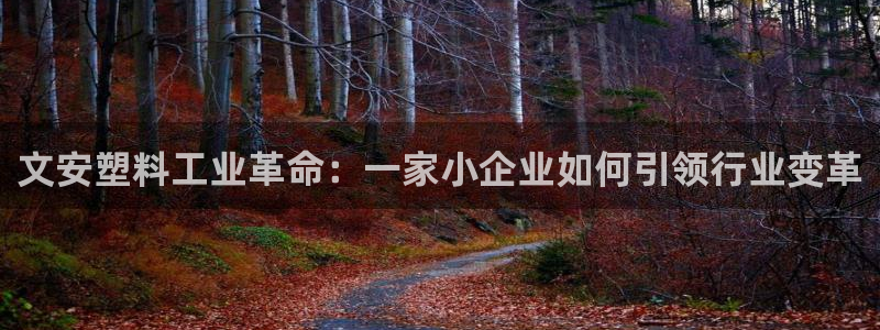 太阳成集团tyc234cc[主页]网：文安塑料工业革命：一家
