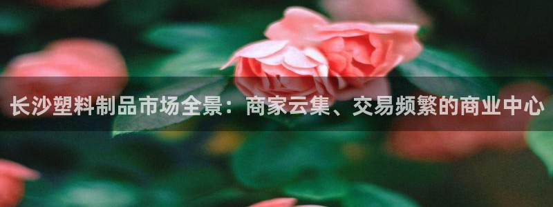 太阳集团tcy8722贵宾会：长沙塑料制品市场全景：商家云集