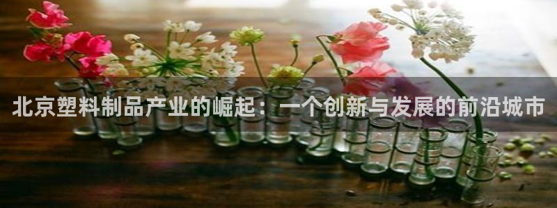 122cc太阳集成游戏官方网站版：北京塑料制品产业的崛起：一