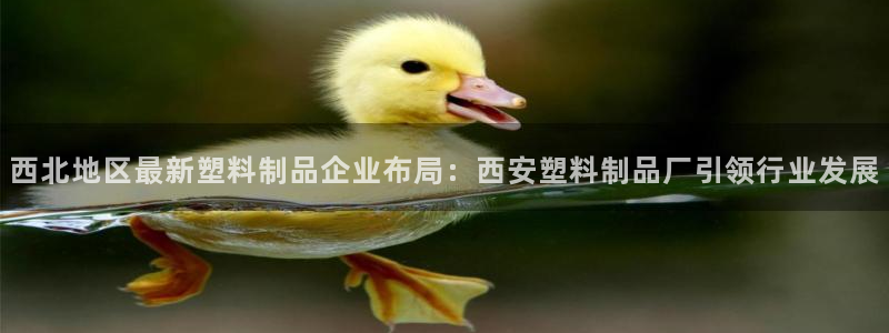 太阳阳城集团：西北地区最新塑料制品企业布局：西安塑料制品厂引