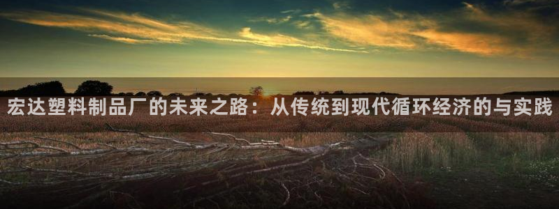 太阳集团是真的吗：宏达塑料制品厂的未来之路：从传统到现代循环