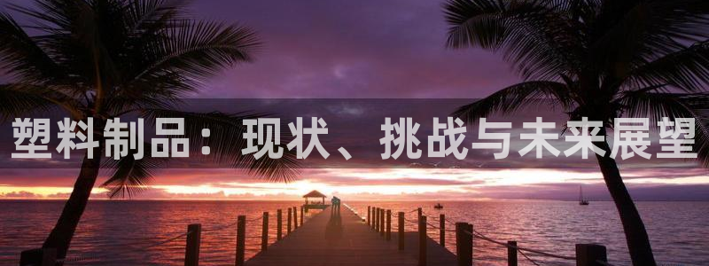 太阳集团电子游戏宙斯：塑料制品：现状、挑战与未来展望