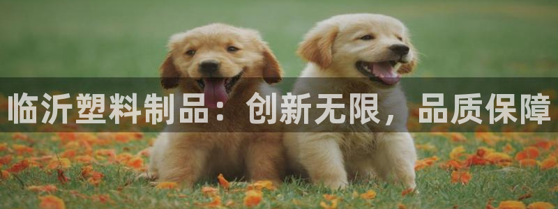太阳集团娱乐所有网站app游戏优势：临沂塑料制品：创新无限，