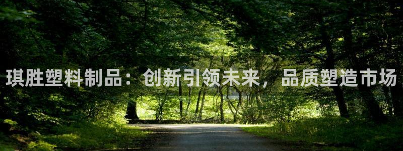 太阳集团娱乐官方网站：琪胜塑料制品：创新引领未来，品质塑造市