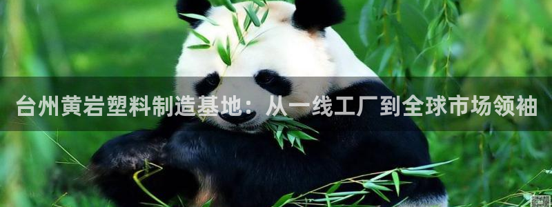 太阳gg注册登录：台州黄岩塑料制造基地：从一线工厂到全球市场