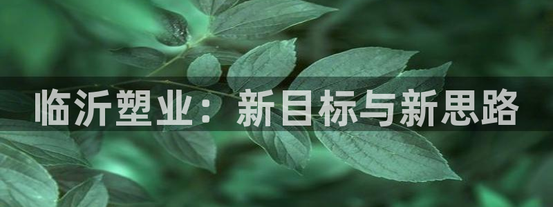 太阳控股集团：临沂塑业：新目标与新思路