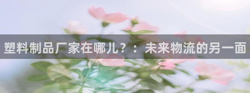 太阳gg是真的吗：塑料制品厂家在哪儿？：未来物流的另一面