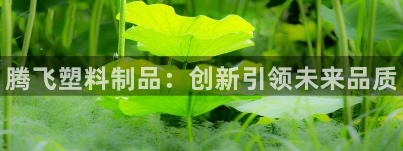 太阳集团电子游戏APP登录入口：腾飞塑料制品：创新引领未来品
