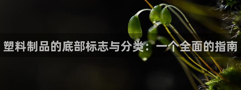 太阳成集团tyc122ccvlp：塑料制品的底部标志与分类：