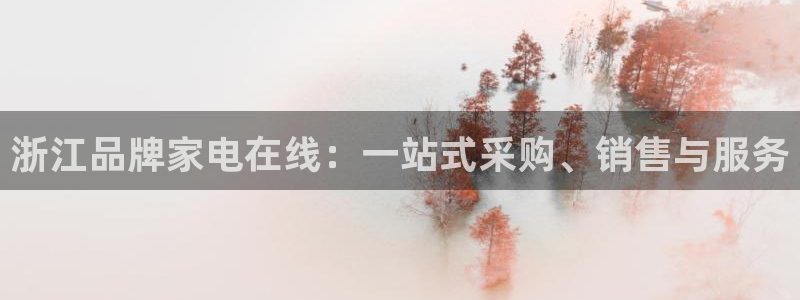 太阳成集团视频：浙江品牌家电在线：一站式采购、销售与服务