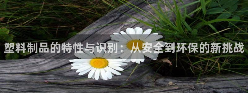 太阳集团app十佳平台是什么：塑料制品的特性与识别：从安全到