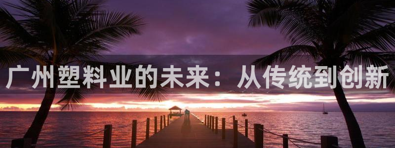 太阳集团是什么公司：广州塑料业的未来：从传统到创新