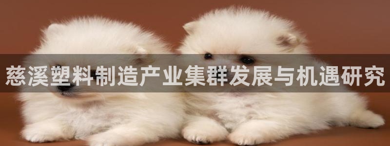 太阳集团董事长的儿子照片：慈溪塑料制造产业集群发展与机遇研究