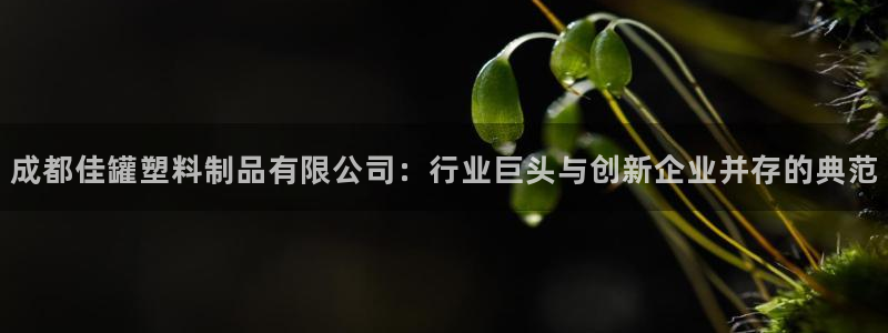 太阳集团app十佳平台：成都佳罐塑料制品有限公司：行业巨头与