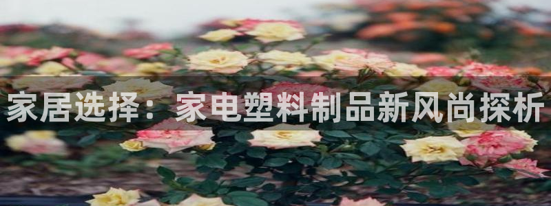 高淳红太阳集团：家居选择：家电塑料制品新风尚探析