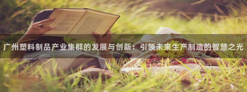 太阳集团是真的吗：广州塑料制品产业集群的发展与创新：引领未来