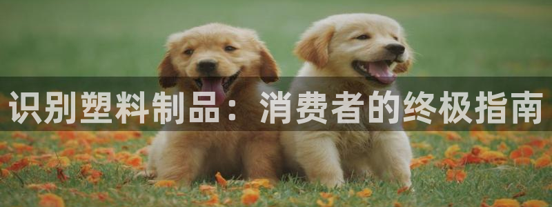 太阳成娱乐app下载：识别塑料制品：消费者的终极指南