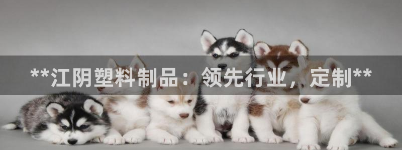 太阳gg官网登录：**江阴塑料制品：领先行业，定制**