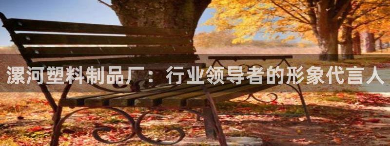 太阳集团是一家什么公司：漯河塑料制品厂：行业领导者的形象代言