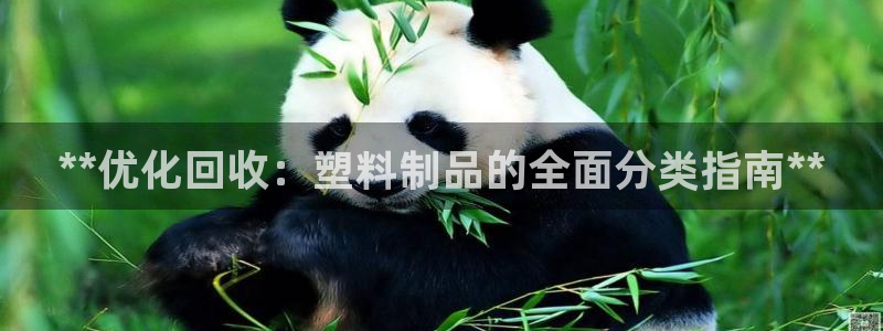 太阳集团app首页：**优化回收：塑料制品的全面分类指南**