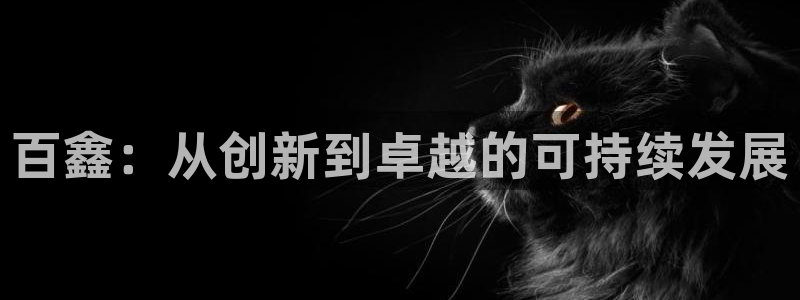 太阳集团城网2018：百鑫：从创新到卓越的可持续发展