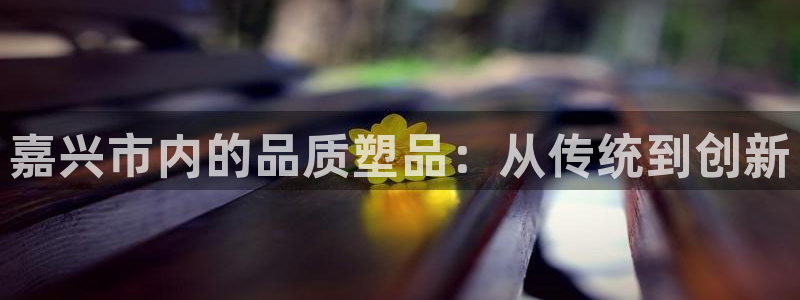 太阳董事长：嘉兴市内的品质塑品：从传统到创新