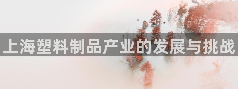 太阳集团地址：上海塑料制品产业的发展与挑战