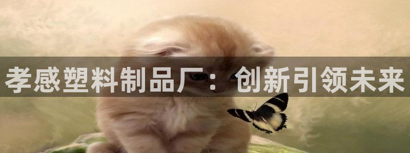 太阳集团洗米华菲律宾：孝感塑料制品厂：创新引领未来