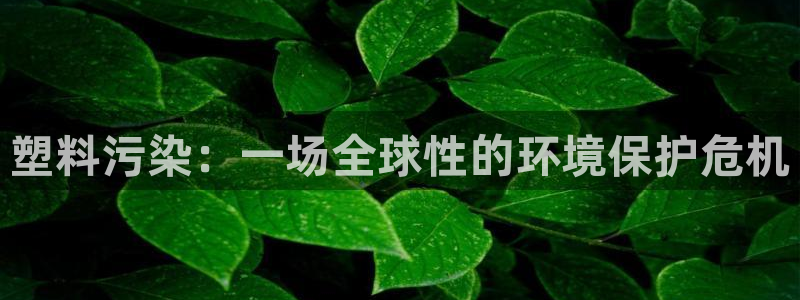 太阳app下载网址进入：塑料污染：一场全球性的环境保护危机
