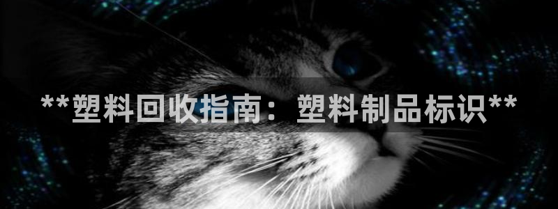 太阳成娱乐集团：**塑料回收指南：塑料制品标识**