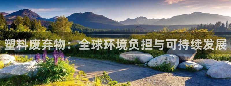 太阳集团电子游戏返还8元：塑料废弃物：全球环境负担与可持续发